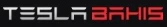 Tesla Bahis logo